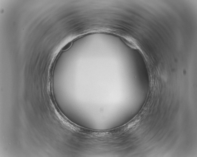 X0000053071143200508081213