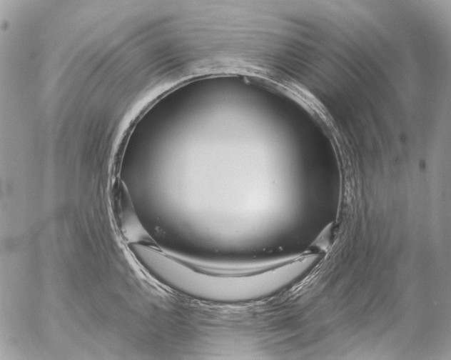 X0000053071144200508081213