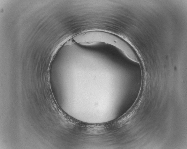 X0000053071145200508081213