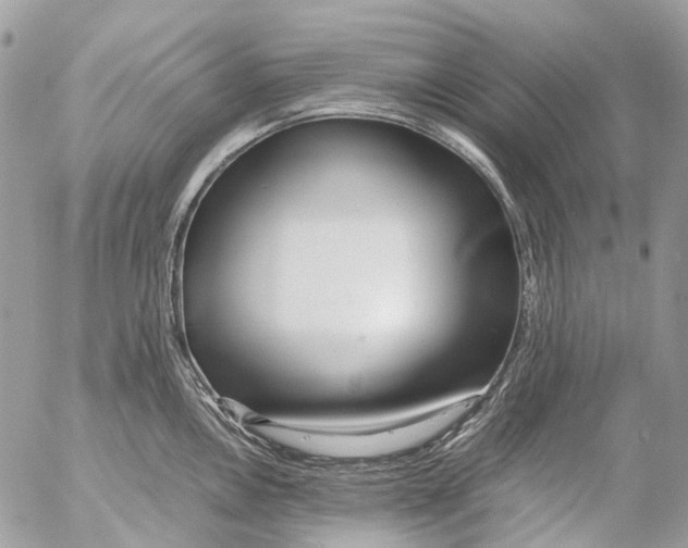 X0000053071146200508081213