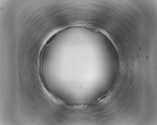 X0000053071147200508081213