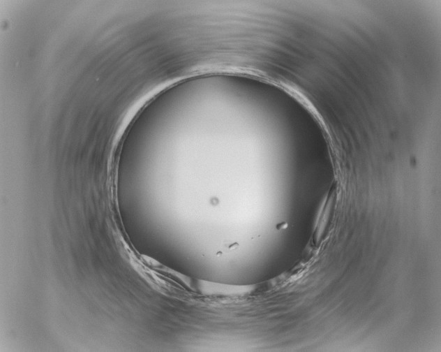 X0000053071148200508081213