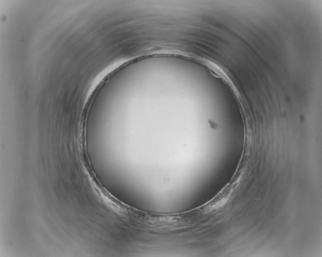 X0000053071149200508081213