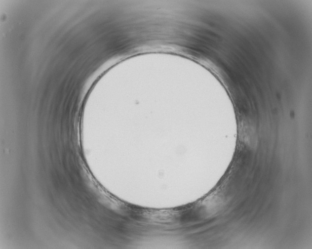 X0000053071150200508081213