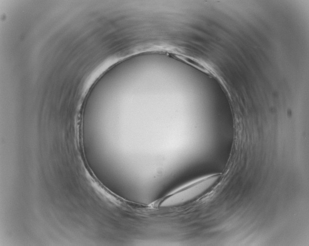 X0000053071151200508081213