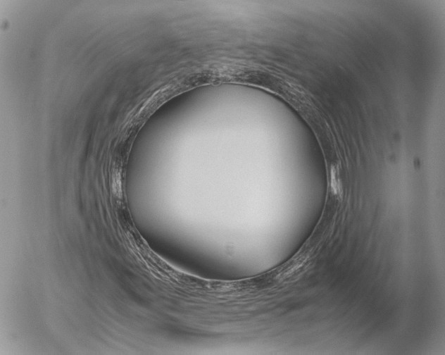 X0000053071155200508081212