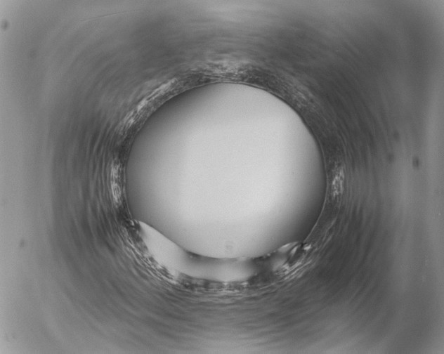 X0000053071156200508081212