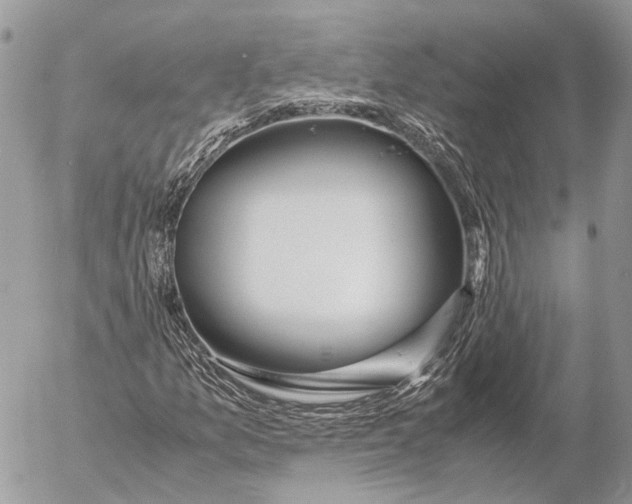 X0000053071157200508081212