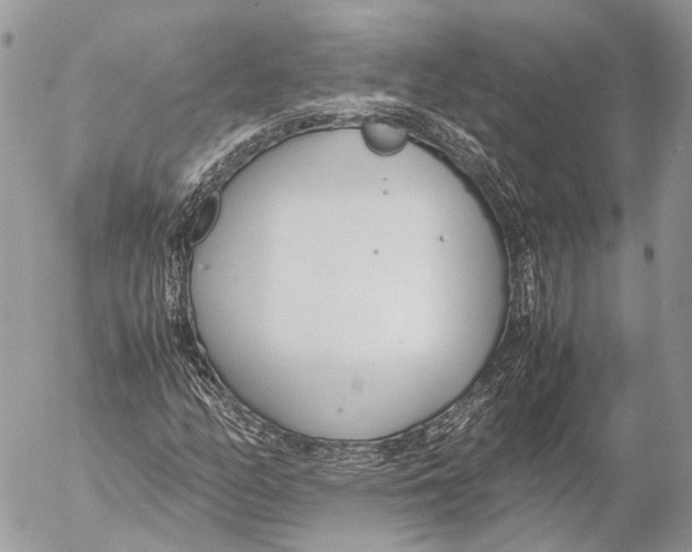 X0000053071158200508081212