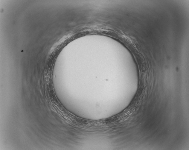 X0000053071159200508081212