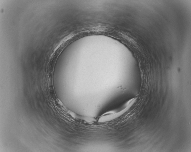 X0000053071160200508081212