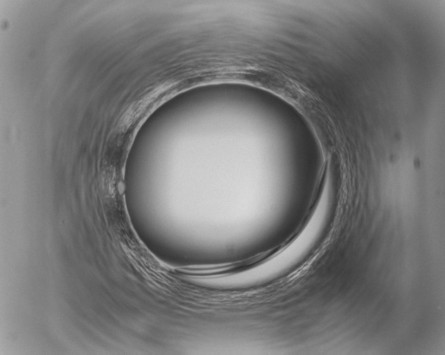 X0000053071161200508081212