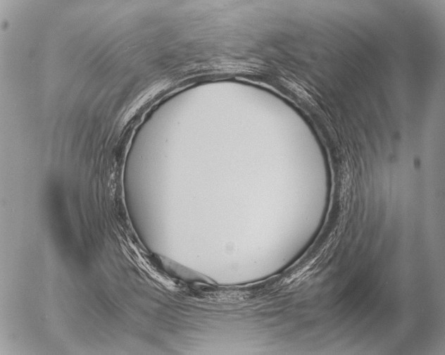 X0000053071163200508081212