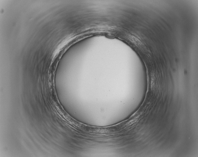 X0000053071164200508081212