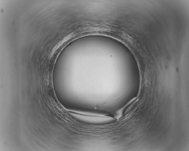 X0000053071165200508081212