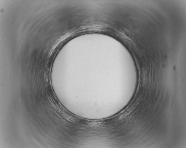 X0000053071166200508081212