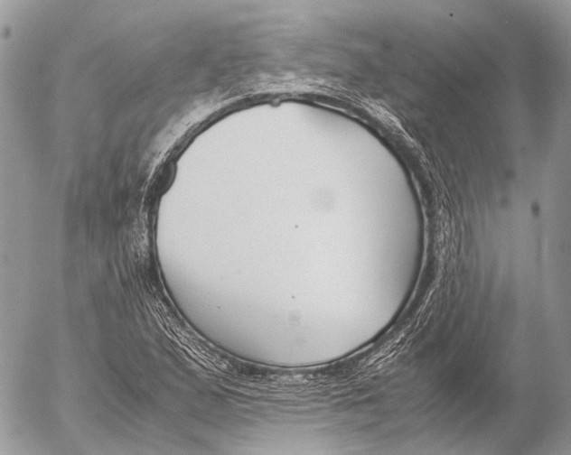 X0000053071167200508081212