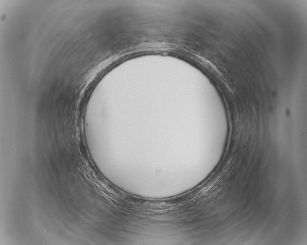 X0000053071168200508081212