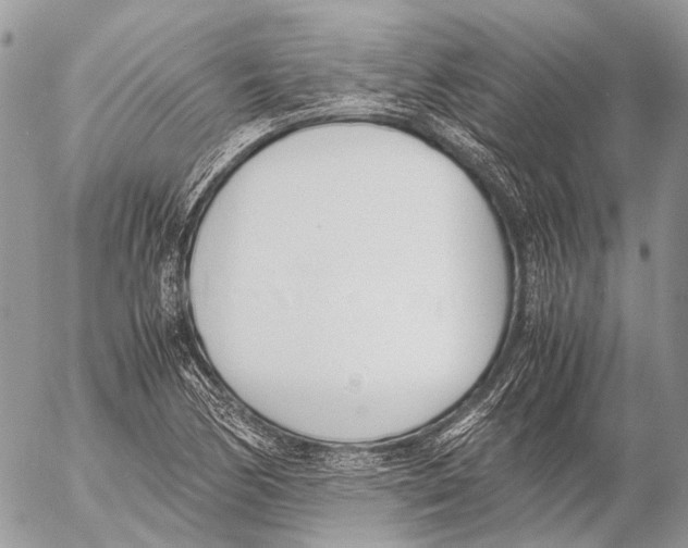 X0000053071170200508081212