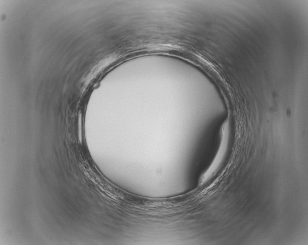 X0000053071171200508081212