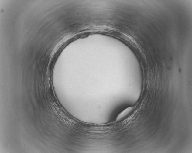 X0000053071172200508081212