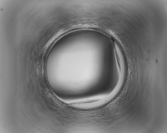 X0000053071173200508081212