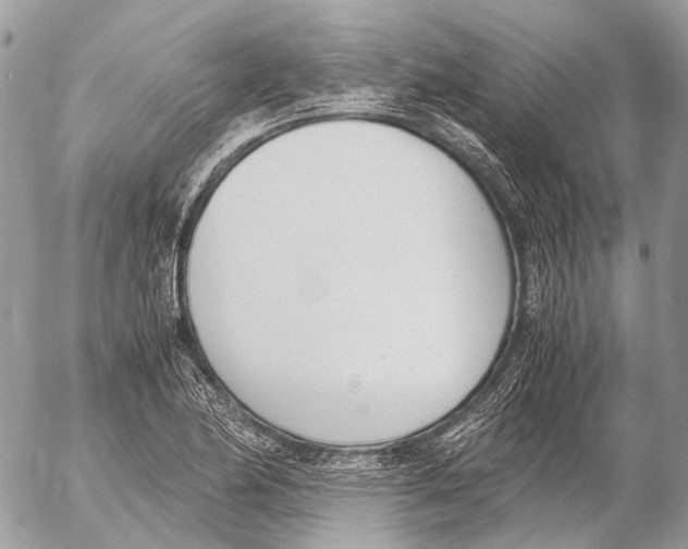 X0000053071174200508081212