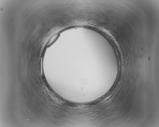 X0000053071175200508081212