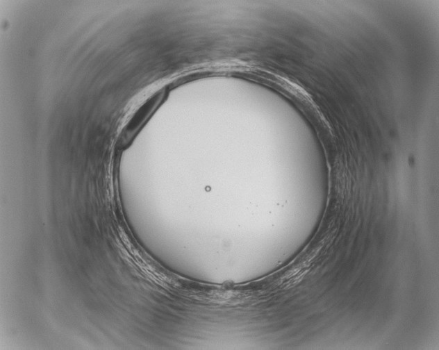 X0000053071176200508081212