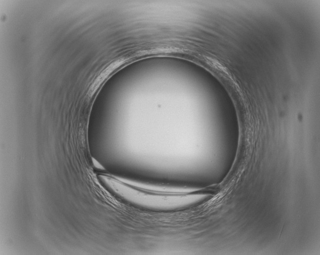 X0000053071177200508081212