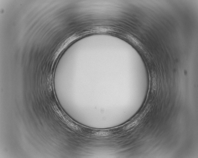 X0000053071178200508081212