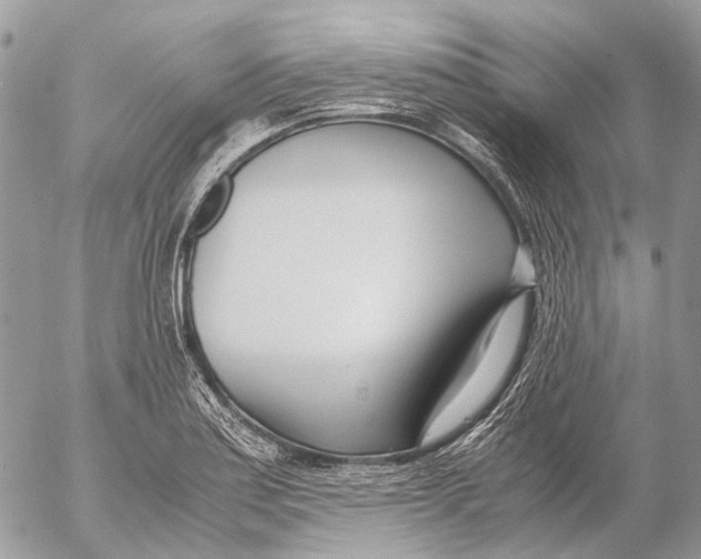 X0000053071179200508081212