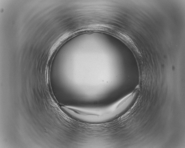 X0000053071180200508081212