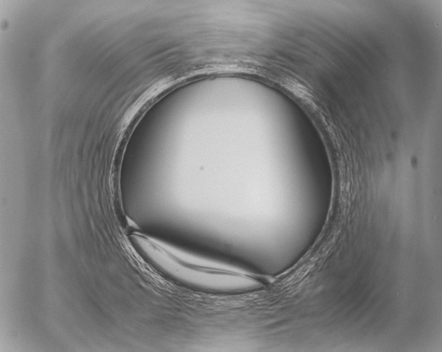 X0000053071181200508081212