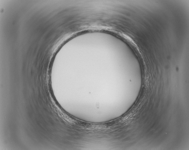 X0000053071183200508081212