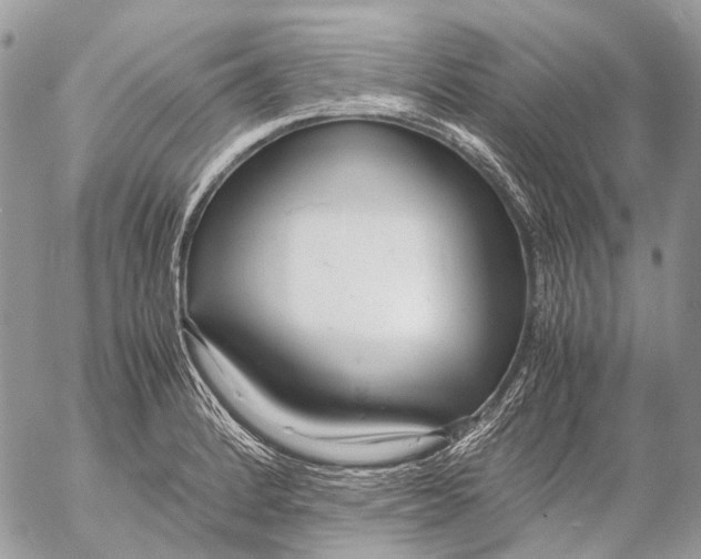 X0000053071184200508081212