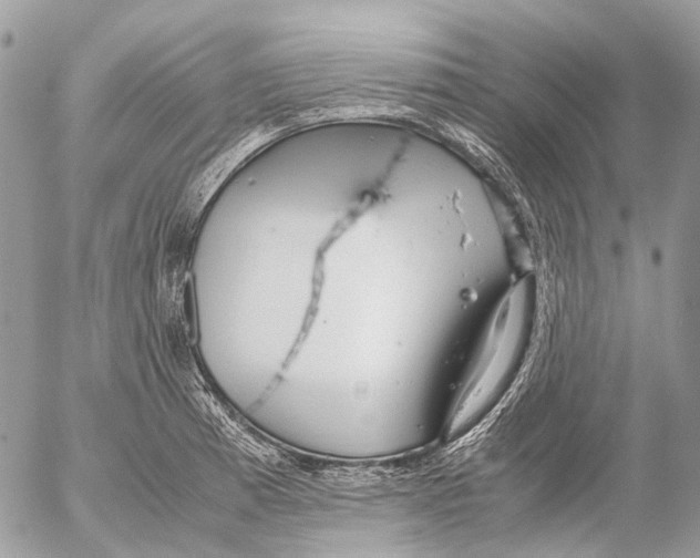 X0000053071185200508081212