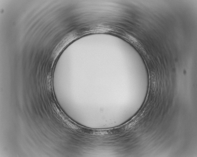 X0000053071186200508081212