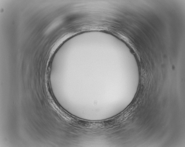 X0000053071187200508081212