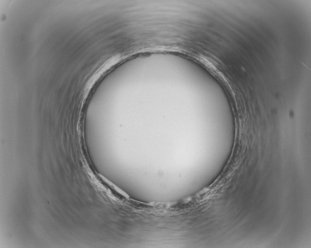 X0000053071189200508081212