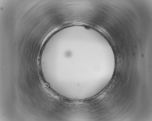 X0000053071190200508081212