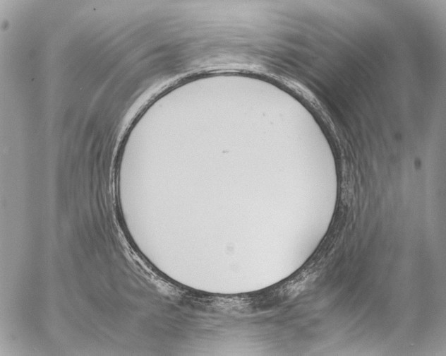 X0000053071191200508081212