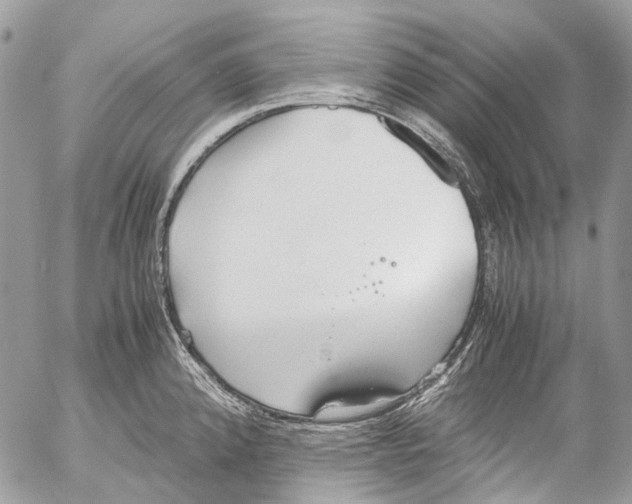 X0000053071192200508081212