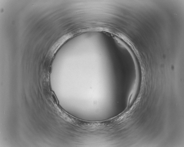 X0000053071193200508081212