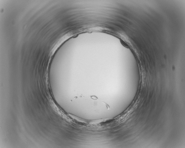 X0000053071194200508081212