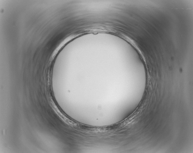 X0000053071195200508081212