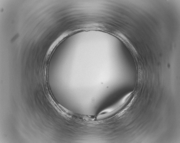 X0000053071196200508081212