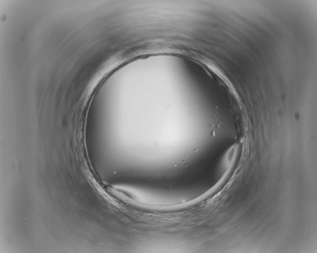 X0000053071197200508081212