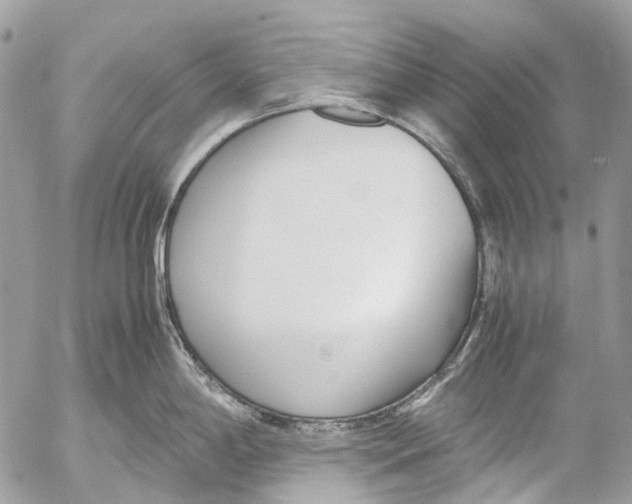 X0000053071198200508081212