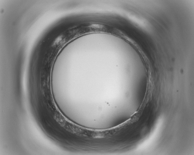 X0000053071199200508081212